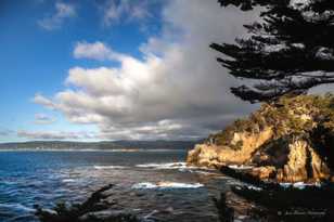 Point Lobos-8015 Point Lobos-8015